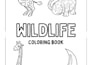 design bold and easy coloring ebook KDP
